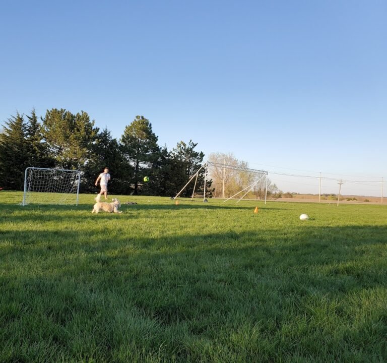 Soccer Field image 2