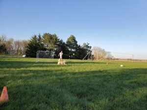 Soccer Field image 1