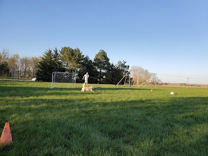 Soccer Field image 1