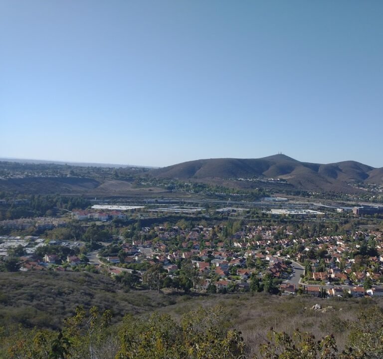 Soccer Field image 2