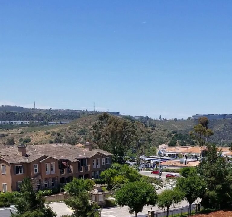 Soccer Field image 4