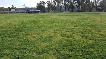 Soccer Field image 1