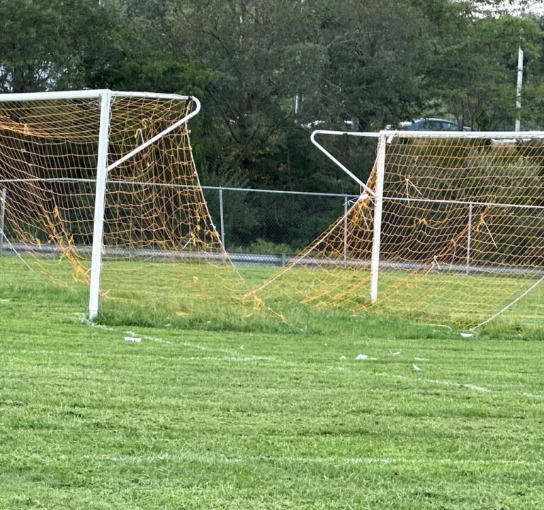 Soccer Field image 3