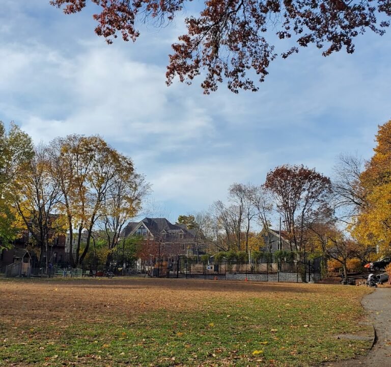 Soccer Field image 2