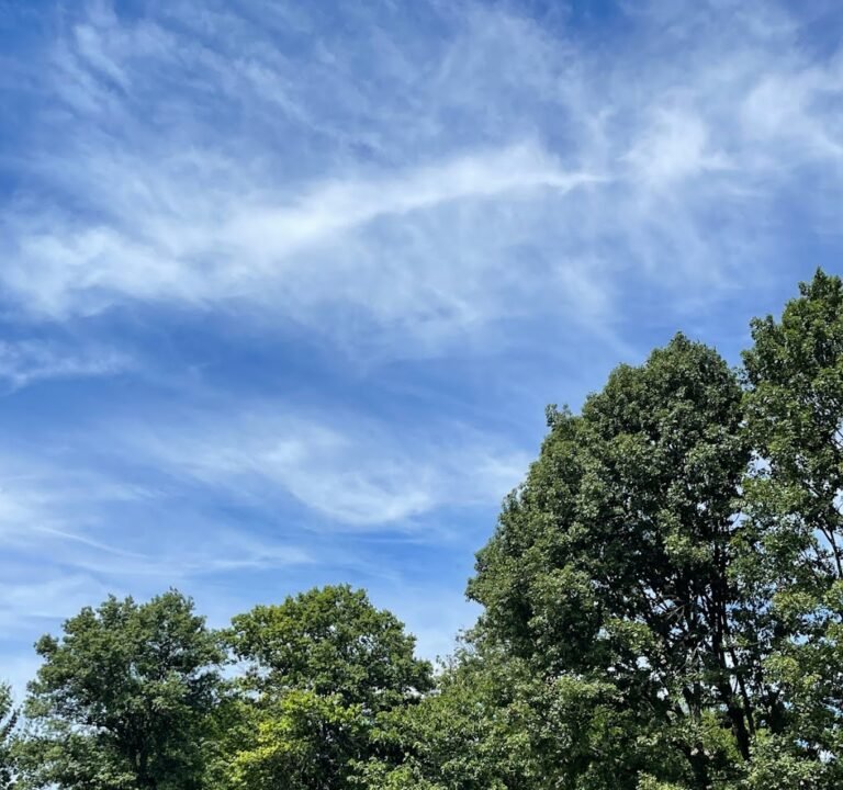 Soccer Field image 2