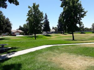 Soccer Field image 1