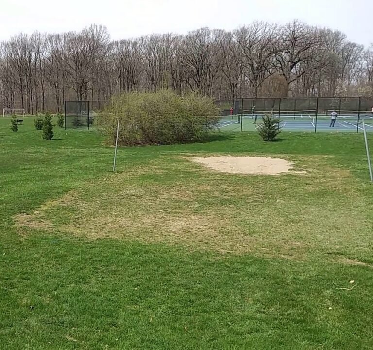 Soccer Field image 3