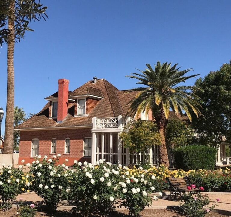 Soccer Field image 2