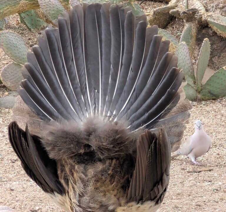 Soccer Field image 3