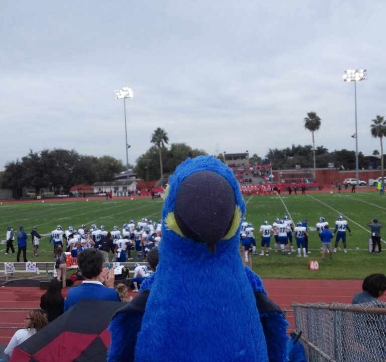 Soccer Field image 3