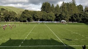 Soccer Field image 1