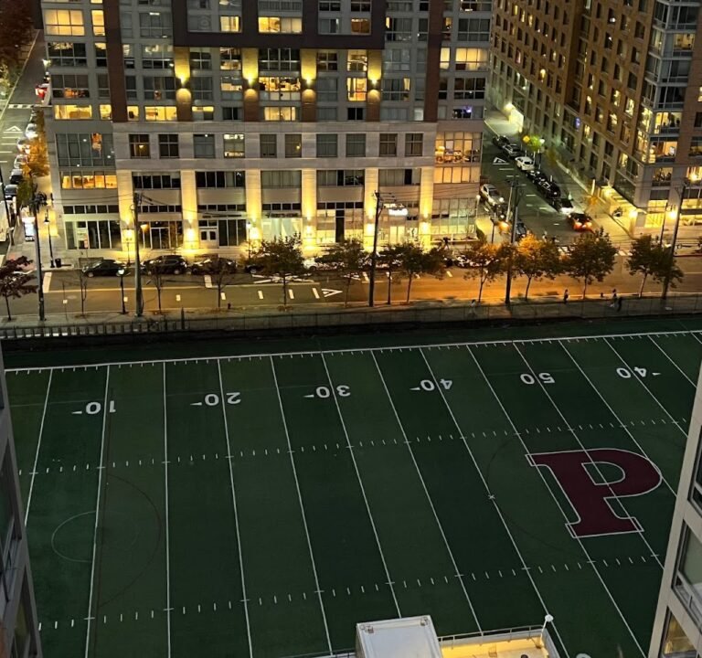 Soccer Field image 2