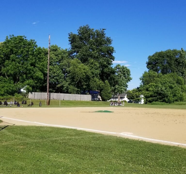Soccer Field image 2