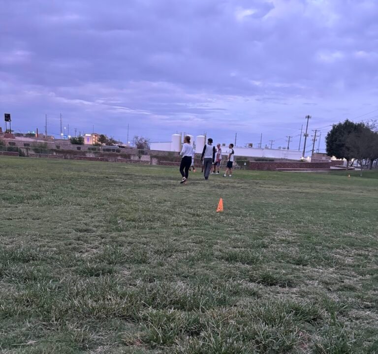 Soccer Field image 2