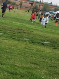 Soccer Field image 1