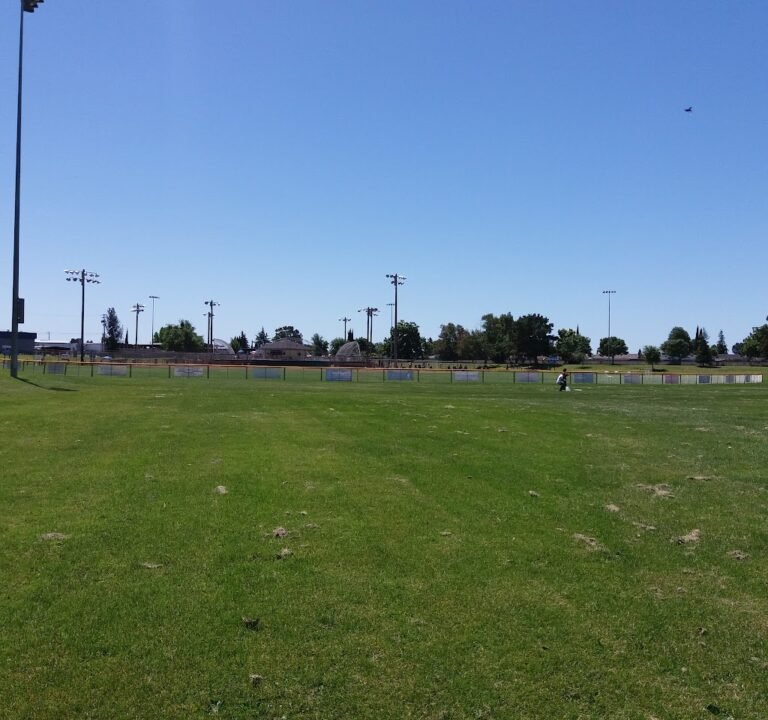 Soccer Field image 2
