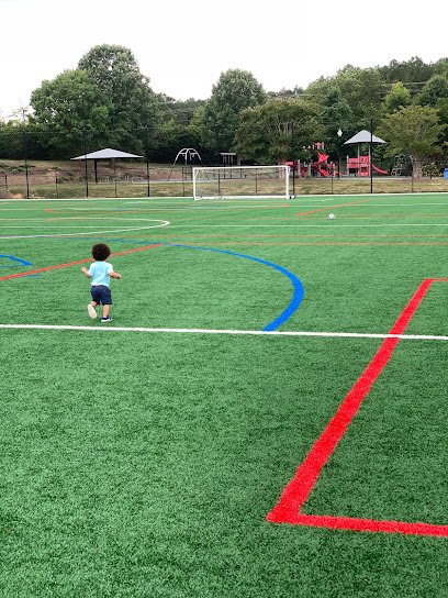 Soccer Field image 1