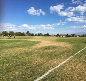 Soccer Field image 2
