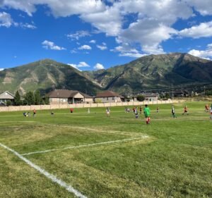 Soccer Field image 3