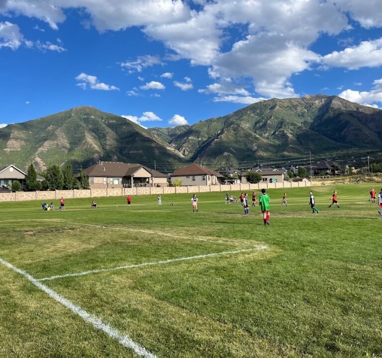 Soccer Field image 3