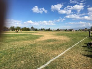 Soccer Field image 1