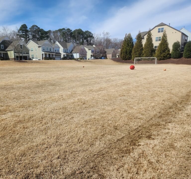 Soccer Field image 2