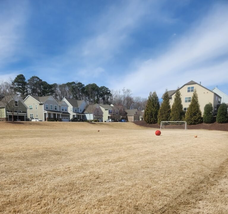 Soccer Field image 3