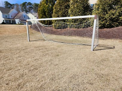 Soccer Field image 1
