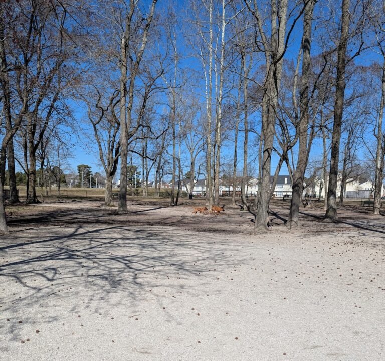 Soccer Field image 3