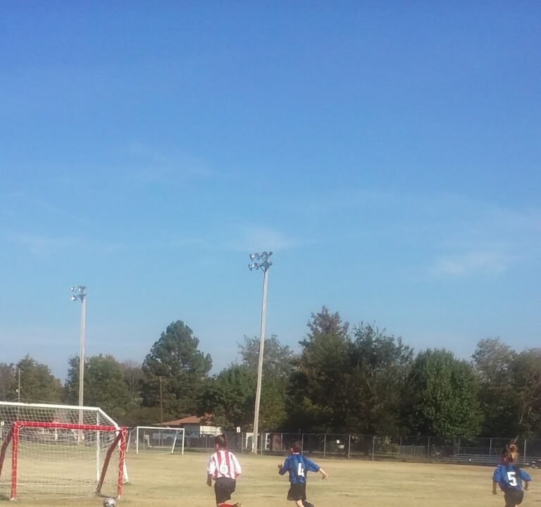 Soccer Field image 2