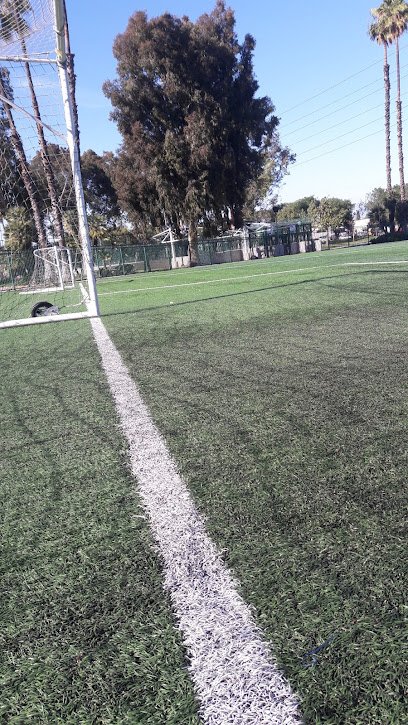 Soccer Field image 1