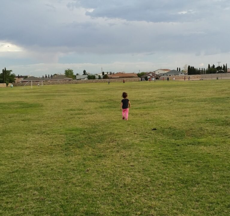 Soccer Field image 2