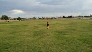 Soccer Field image 1