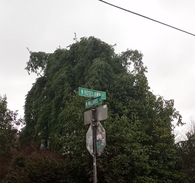 Soccer Field image 2