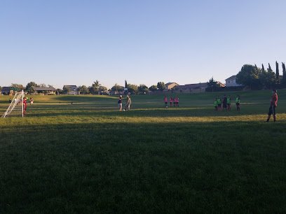 Soccer Field image 1