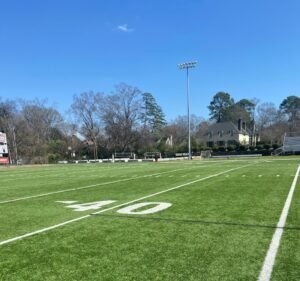 Soccer Field image 2