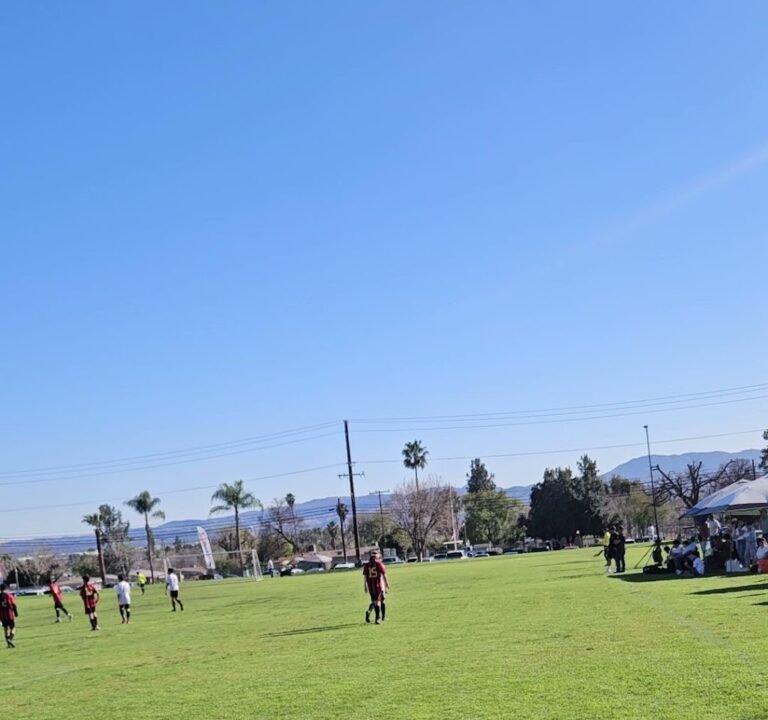 Soccer Field image 3