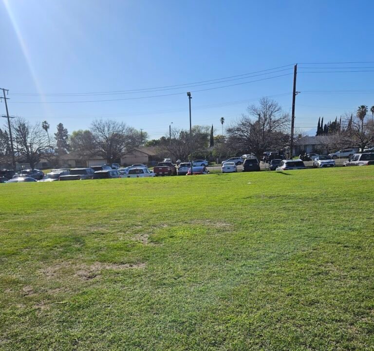 Soccer Field image 2