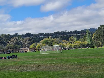 Soccer Field image 1