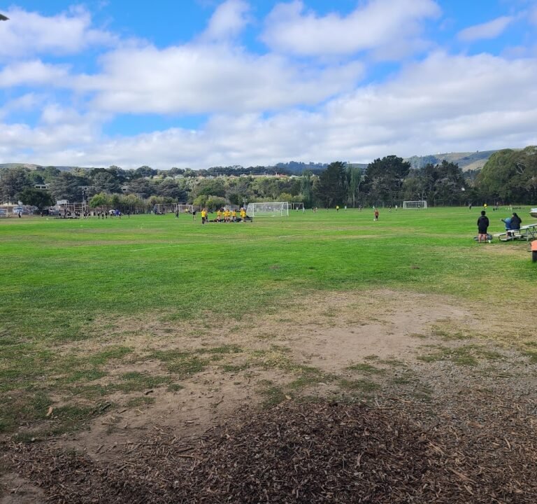 Soccer Field image 2