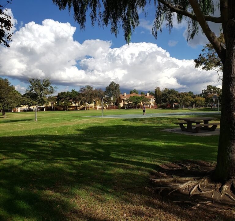 Soccer Field image 2