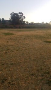 Soccer Field image 1