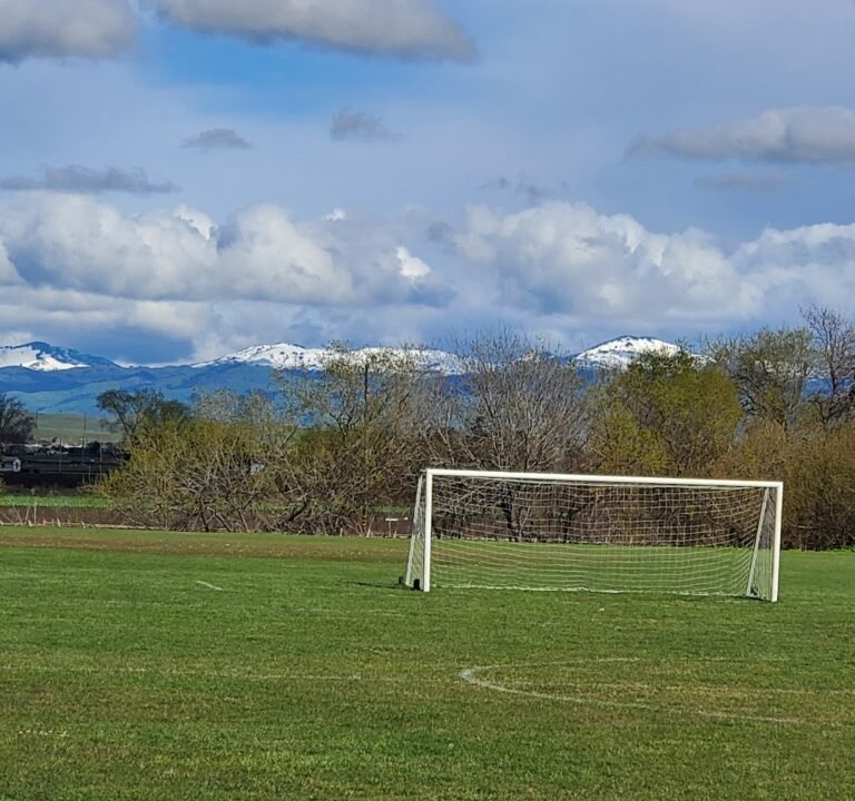 Soccer Field image 3