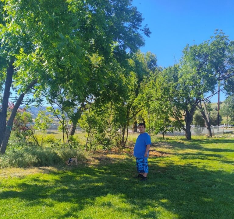 Soccer Field image 2