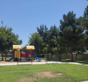 Soccer Field image 2