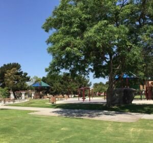 Soccer Field image 2