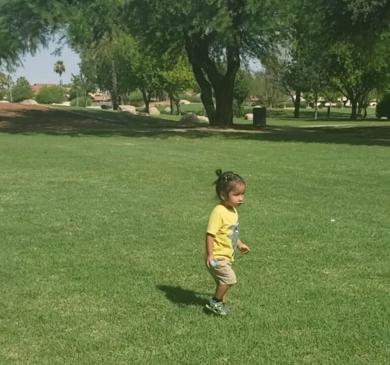 Soccer Field image 4