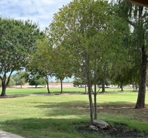 Soccer Field image 2