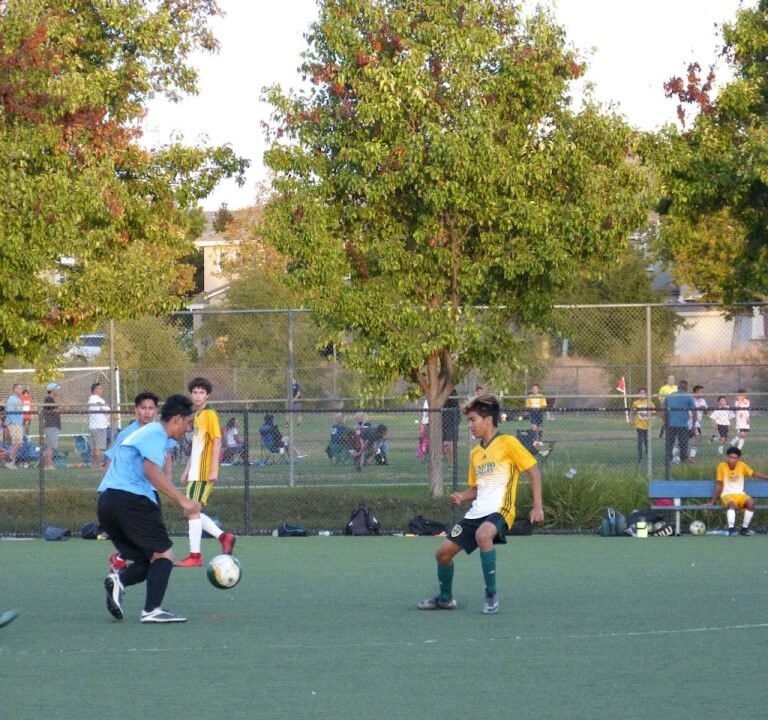 Soccer Field image 2