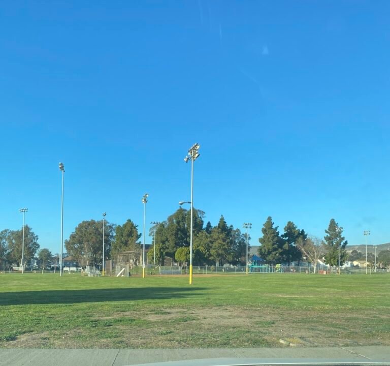 Soccer Field image 3